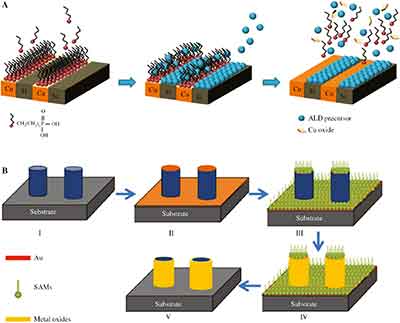 difference between als and cvd