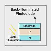 Diagram of a back-illuminated photodiode showing electrode, P and N layers, with light entering from the back side