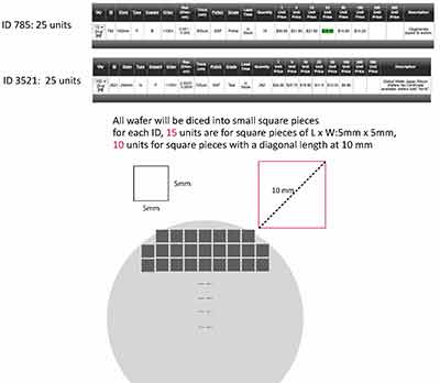 diced silicon wafers for scanning electron microscopy