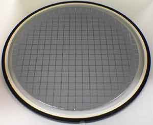 what does a diced silicon wafer look like