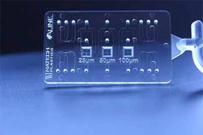 what does a microfluidic device look like