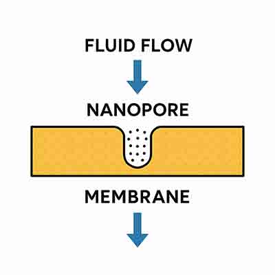 Scientific diagram of a nanopore membrane with top fluid, bottom fluid, and nanoscale pore transport