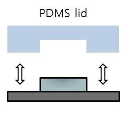 bonding glass slide