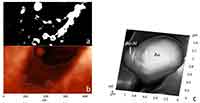 sapphire wafer surface microroughness