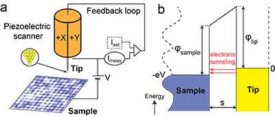 Scanning Tunneling Microscopy