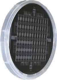 silicon lab on a chip elisa