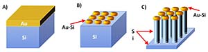 what do silicon nanowire arrays look like