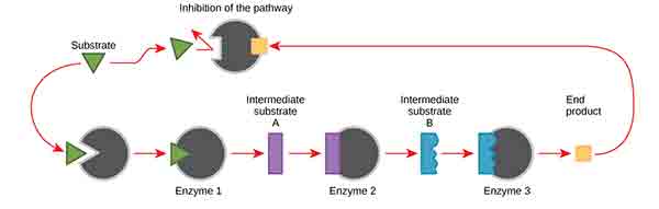 example of a substrate in use