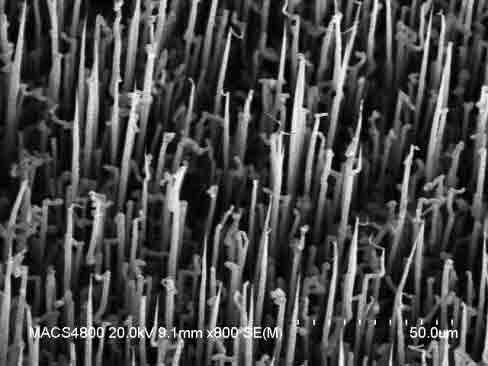 undoped silicon nanowires