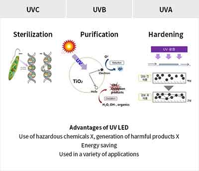 what are some uv light applications